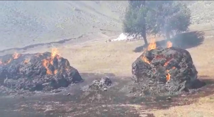 Ağrı’da Çıkan Yangında 110 Ton Ot Küle Döndü