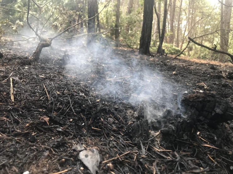 Yangının Tahribatı Gün Işığıyla Ortaya Çıktı
