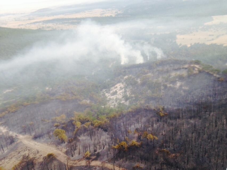 Eskişehir’deki Yangın Kontrol Altında