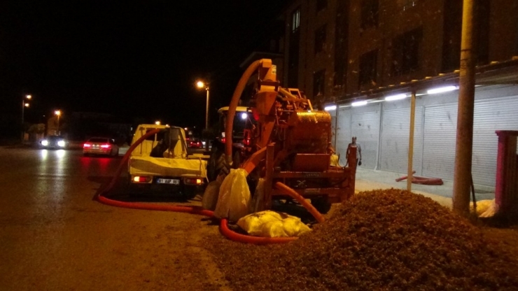 Fındık Harmana İndi