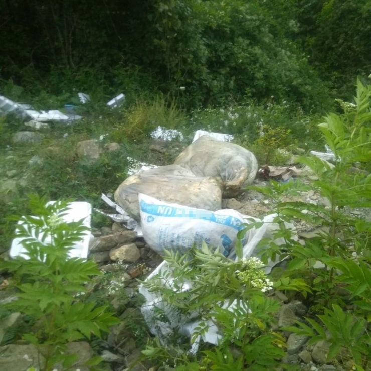 Boş Tarlaya Atılan Kurban Atıkları Kötü Kokulara Neden Oldu