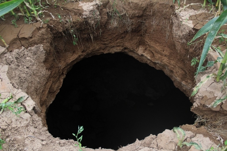Konya’da Mısır Tarlasında Korkutan Obruk