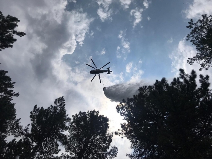 Orman Yangını Büyümeden Söndürüldü