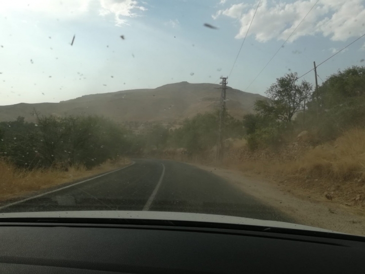 Mardin’de Fırtına Tatilcilere Zor Anlar Yaşattı