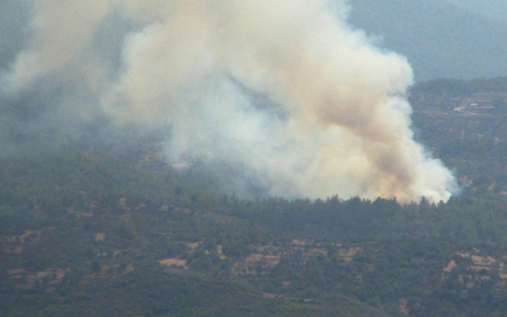 Milas’ta Orman Yangını