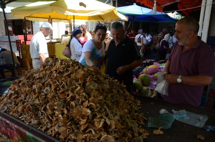 Fındık Mantarına ‘Gurbetçi’ Rağbeti