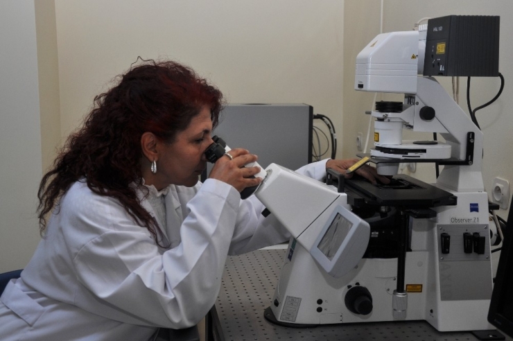 Karaciğer Kanserini Yapay Zekâ Tedavi Edecek