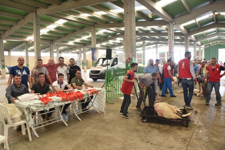 Kurban Bayramı Tepabaşı’nda Huzur İçinde Geçti