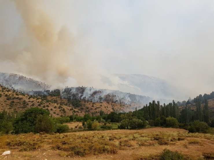 Kahramanmaraş’ta Orman Yangını