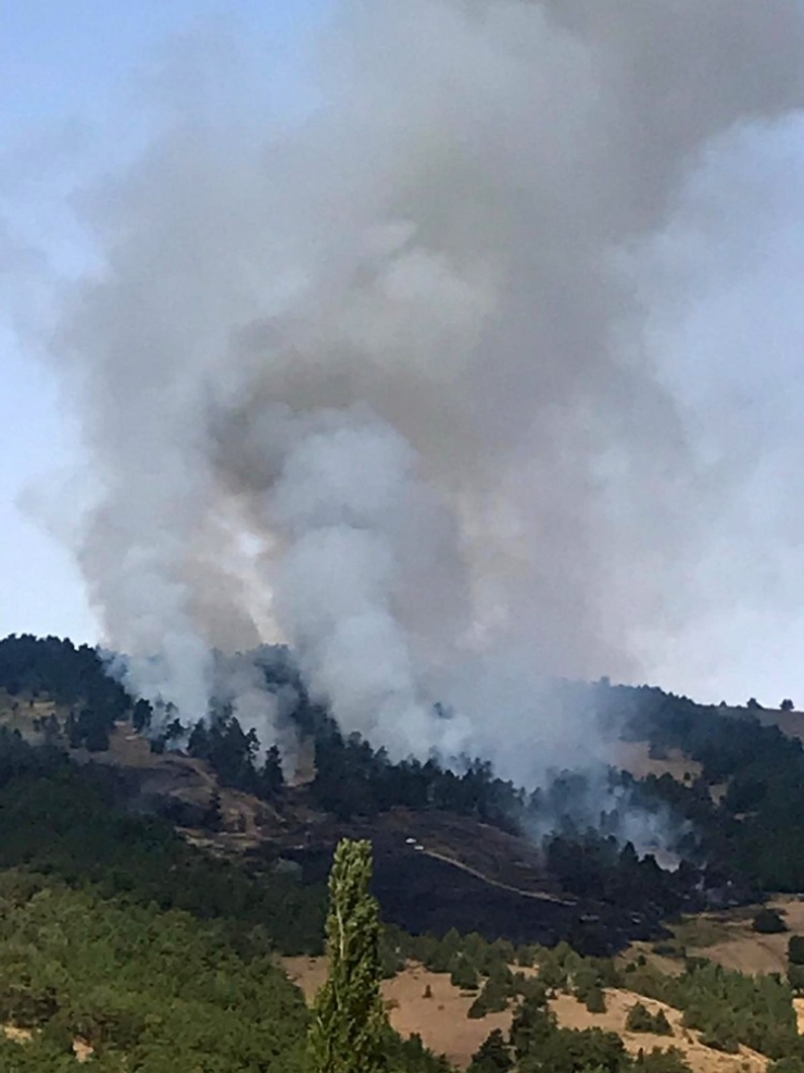 Yozgat’ta 3 Hektarlık Alan Kül Oldu