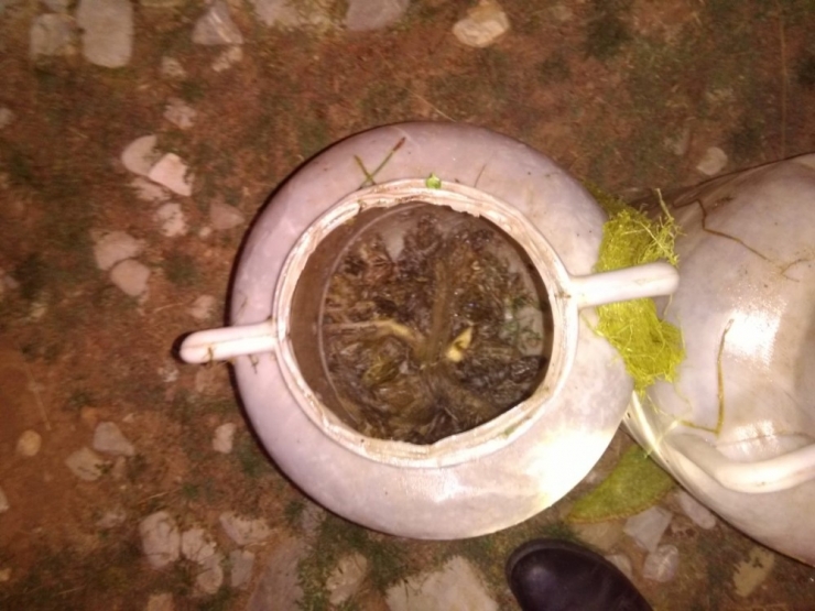 Kaçak Kurbağa Avcılarına Suçüstü