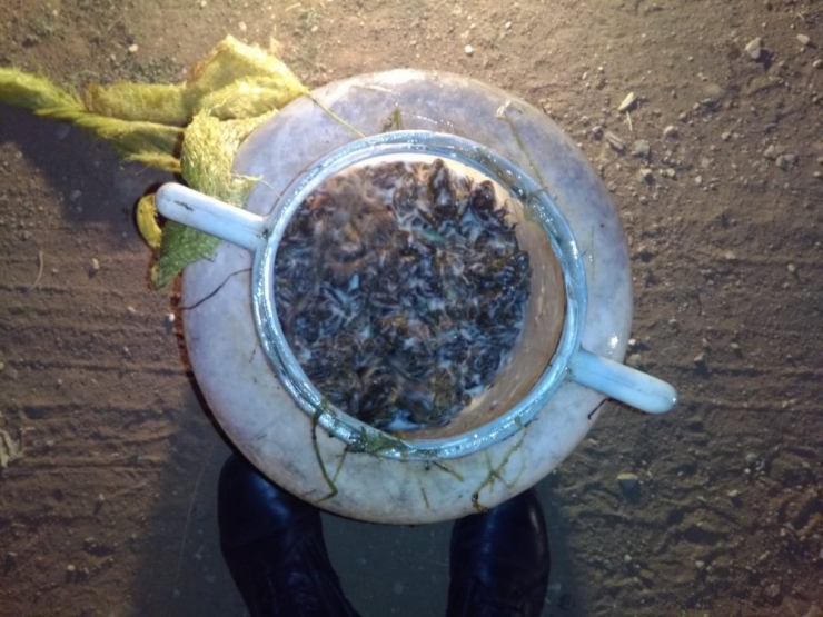 Kaçak Kurbağa Avcılarına Suçüstü