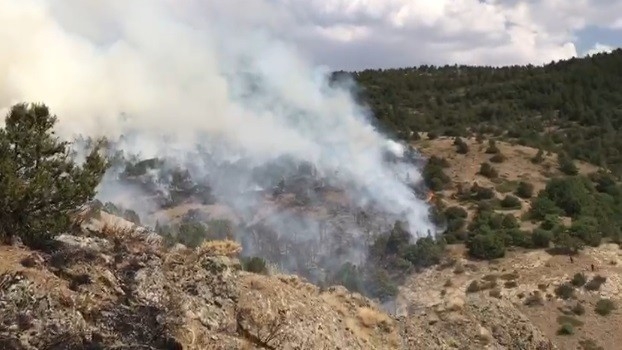 Bayburt’ta Orman Yangını