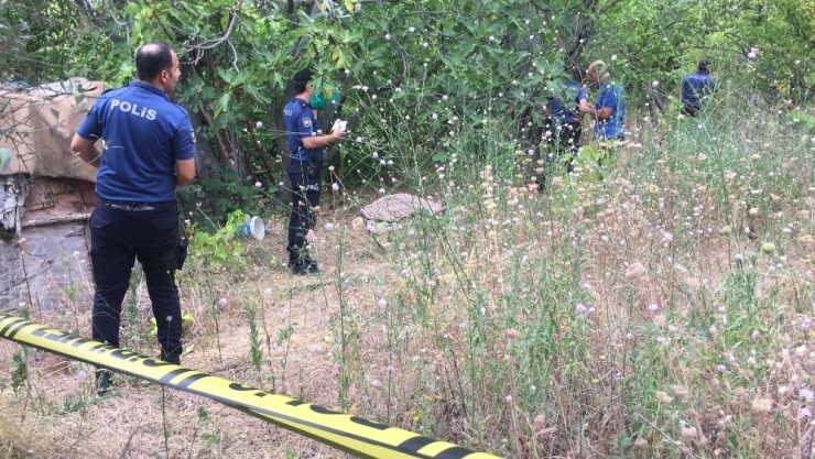 İncir Toplarken Boynundan Asılan Adam Öldü