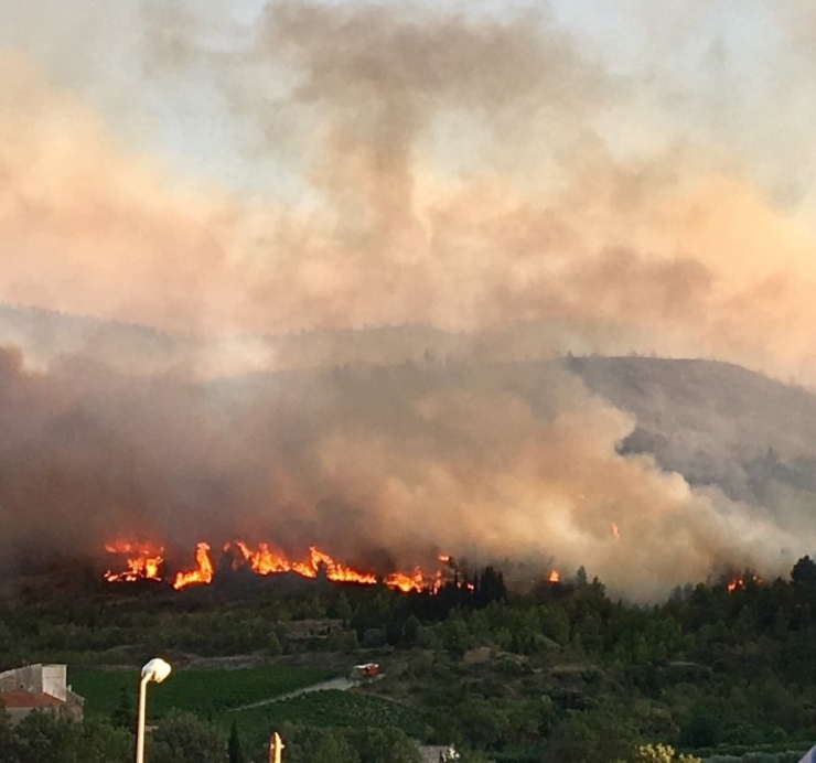 Fransa’da 900 Hektarlık Ormanlık Alan Kül Oldu