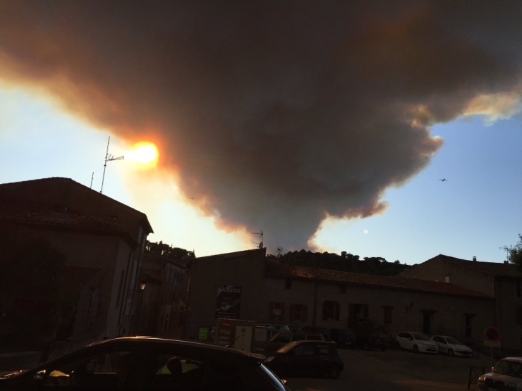 Fransa’da 900 Hektarlık Ormanlık Alan Kül Oldu