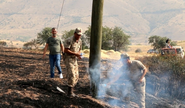 Hekimhan’da Çıkan Yangında 50 Hektarlık Alan Zarar Gördü