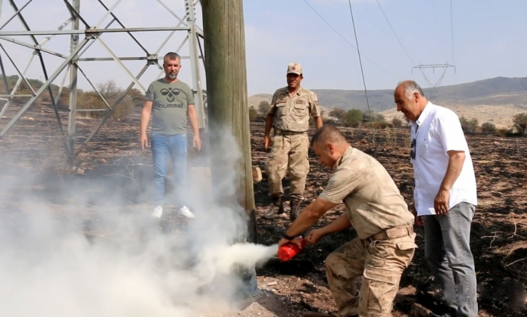 Hekimhan’da Çıkan Yangında 50 Hektarlık Alan Zarar Gördü