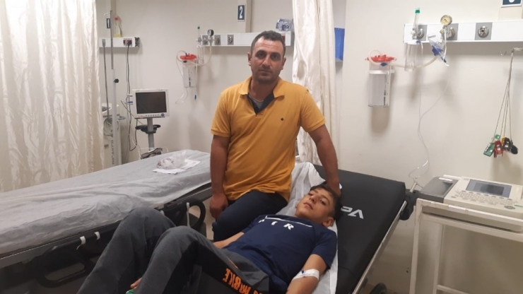 Siirt’te Ayakkabısını Giymeye Çalışan 15 Yaşındaki Genci Akrep Soktu