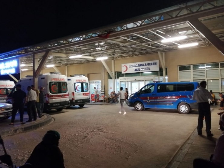 Köpek Kavgasında Baba-oğul Öldürüldü