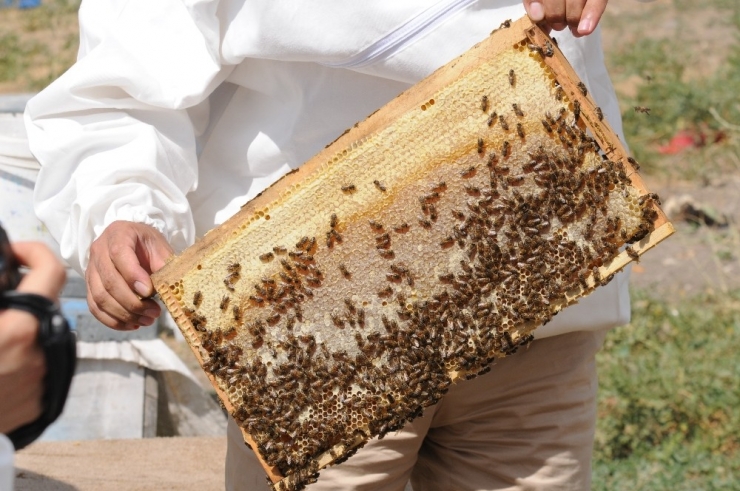 Küresel Isınma Vanlı Balcıları Teğet Geçti