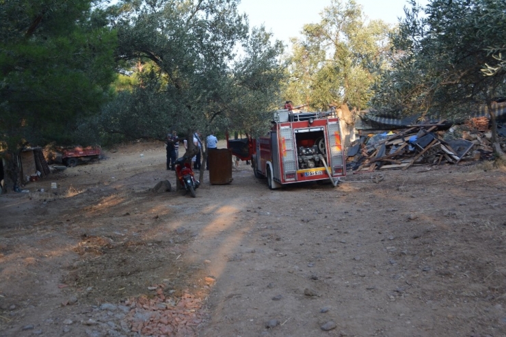 Ayvalık Tabiat Parkı’nda Çıkan Samanlık Yangını İlçeyi Alarma Geçirdi