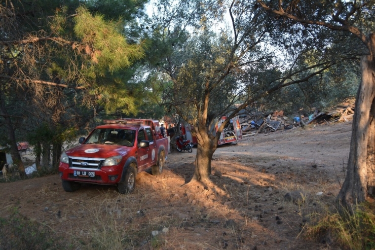 Ayvalık Tabiat Parkı’nda Çıkan Samanlık Yangını İlçeyi Alarma Geçirdi