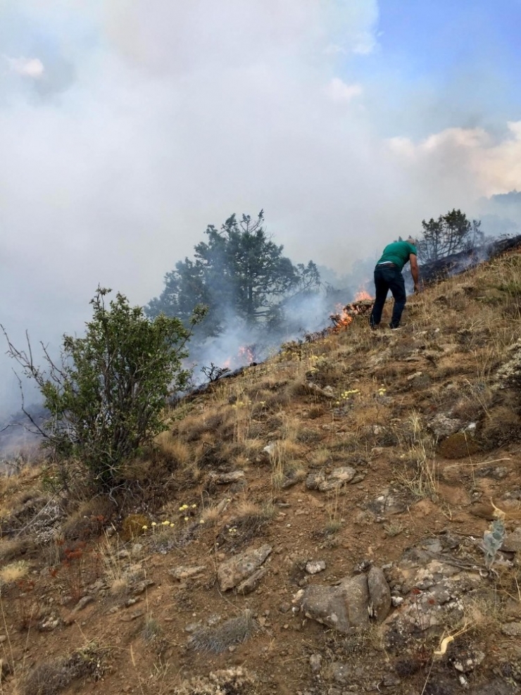 Bayburt’ta Orman Yangını