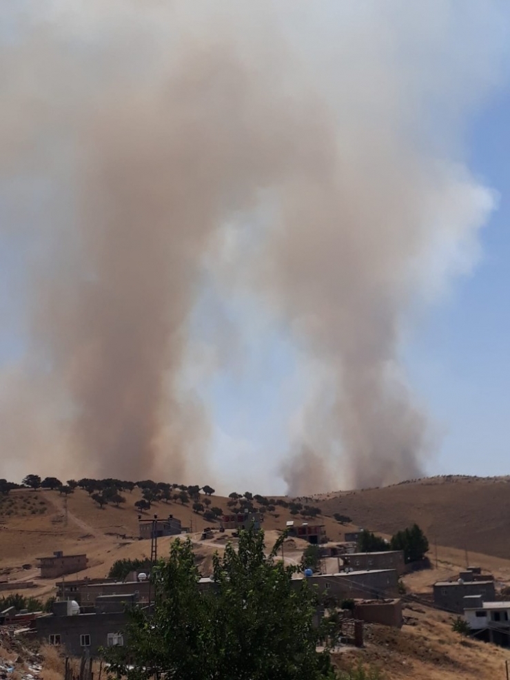 Diyarbakır’da Ağaçlık Alanda Yangın