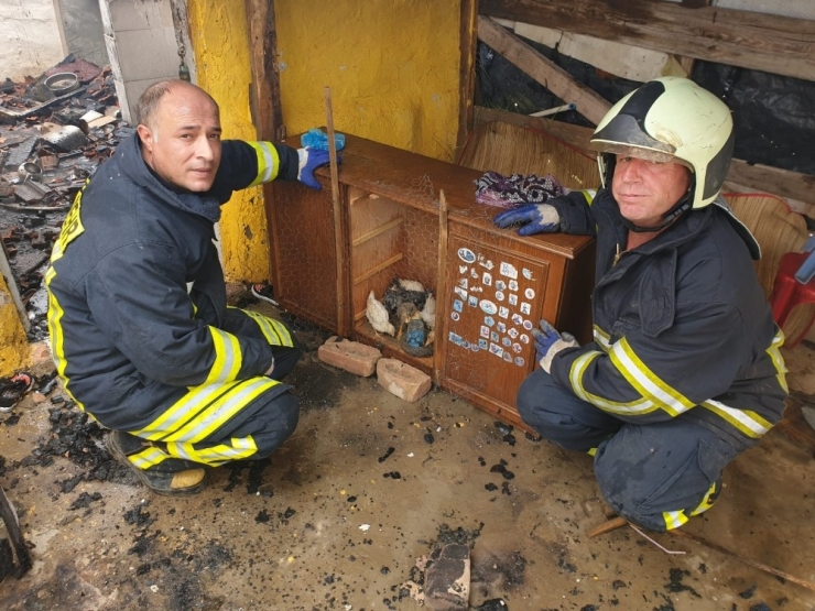 Tek Katlı Ev Alev Alev Yandı