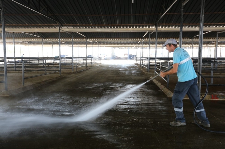 Hayvan Pazarında Bayram Sonrası Temizliği