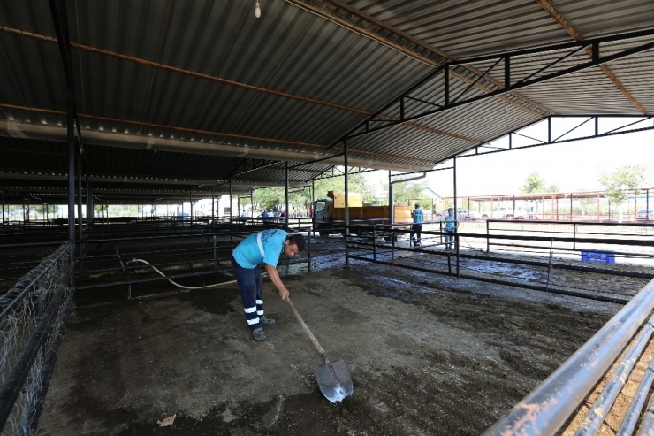 Hayvan Pazarında Bayram Sonrası Temizliği