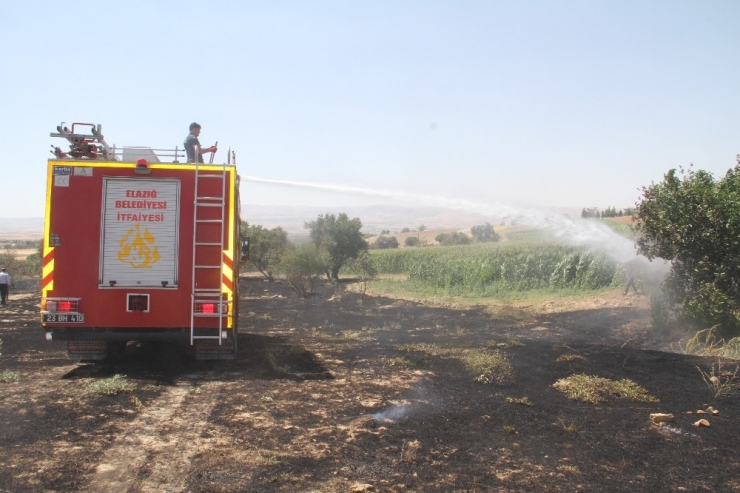 Bahçe Yangınında 80 Meyve Ağacı Zarar Gördü