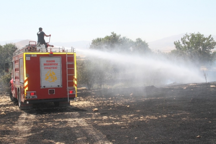Bahçe Yangınında 80 Meyve Ağacı Zarar Gördü