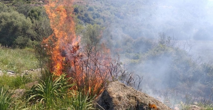 Erzincan’da Örtü Yangını