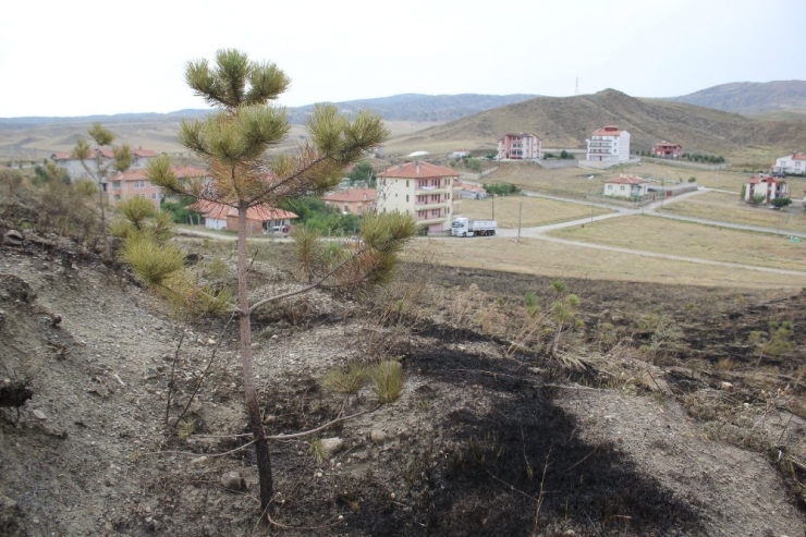 Havai Fişek Yangın Çıkarttı