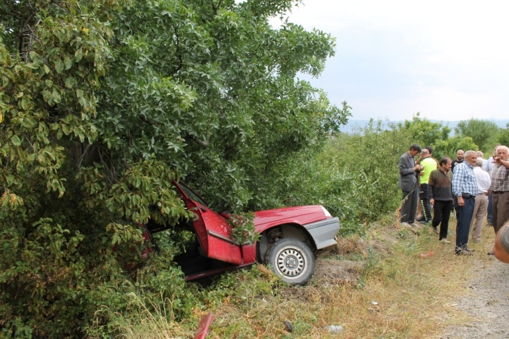 Otomobil Bahçeye Uçtu