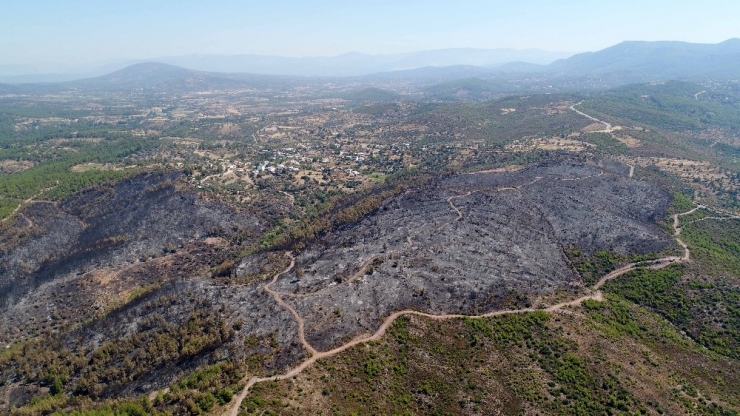 Bodrum’da Kömür Karasına Dönen Alanlar Drone İle Görüntülendi
