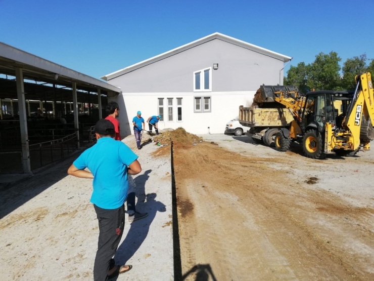 Nazilli’de Kurban Bayramı Sonrası Hijyen Temizliği Yapıldı
