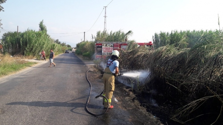 Burhaniye’de Sazlık Yangını