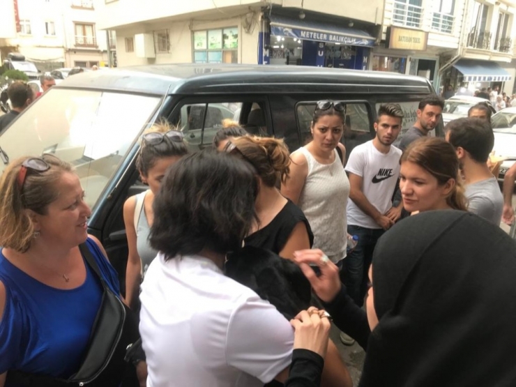 Çarptığı Köpeği Veterinere Götürdü