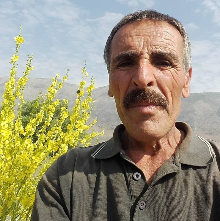 Boğa, Sahibini Öldürdü