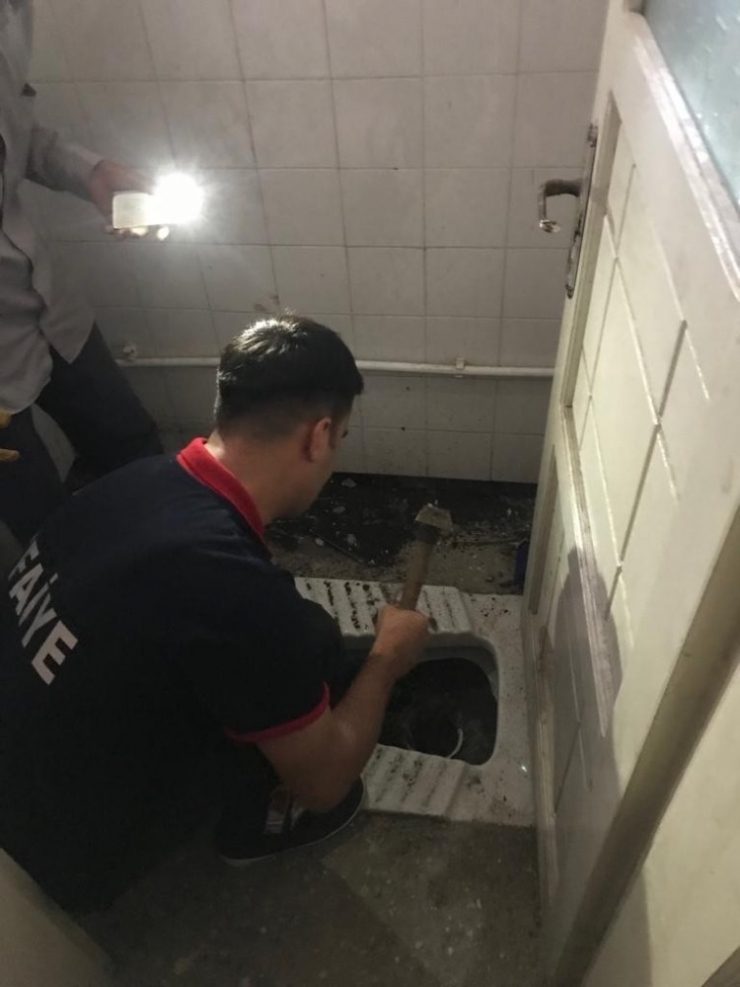 Tuvalet Giderine Sıkışan Kediyi İtfaiye Kurtardı