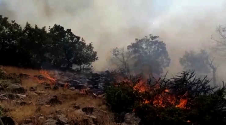 Örtü Yangınında 1 Hektarlık Alan Kül Oldu
