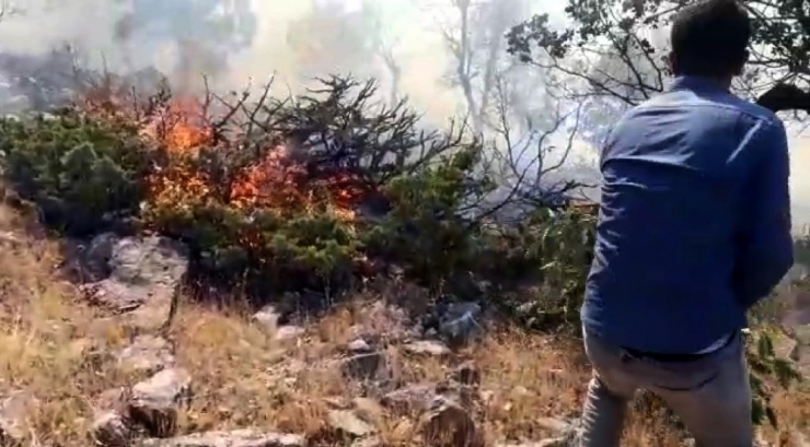 Örtü Yangınında 1 Hektarlık Alan Kül Oldu