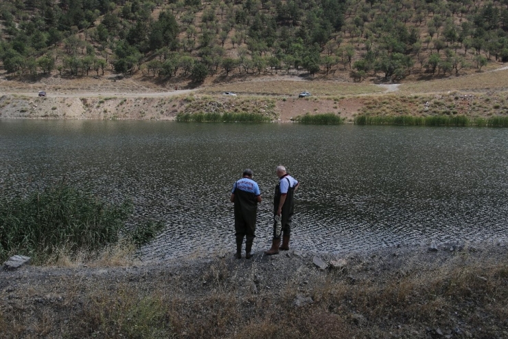 Başkentte Gölete Atlayan Şahıs Hayatını Kaybetti