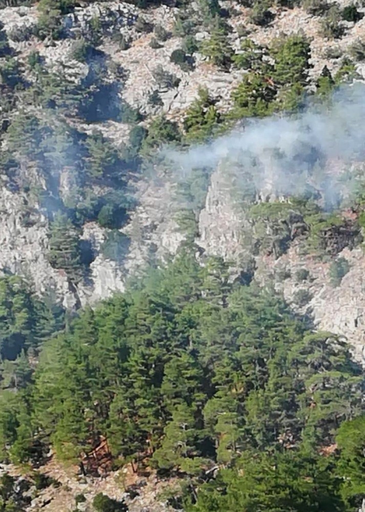 Kazdağları’nda Yıldırım Ormanı Yakıyordu