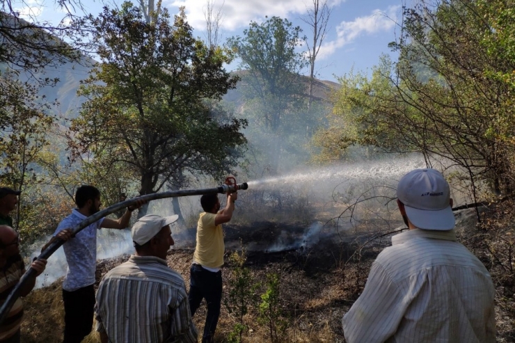 Gümüşhane’de Rüzgarın Kırdığı Kavak Ağacı Yüksek Gerilim Hattına Düştü