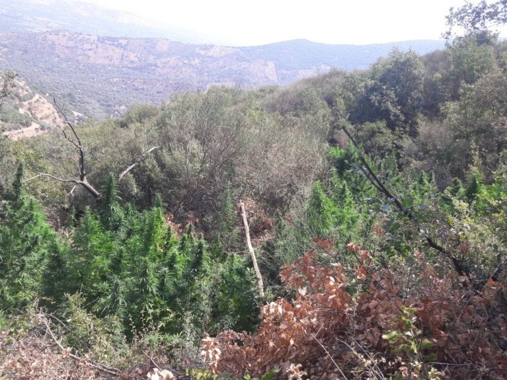 Jandarmadan Drone İle Zehir Takibi