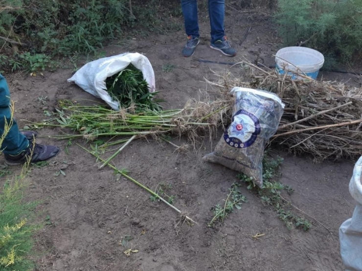 Balıkesir Polisinden Uyuşturucu Operasyonu